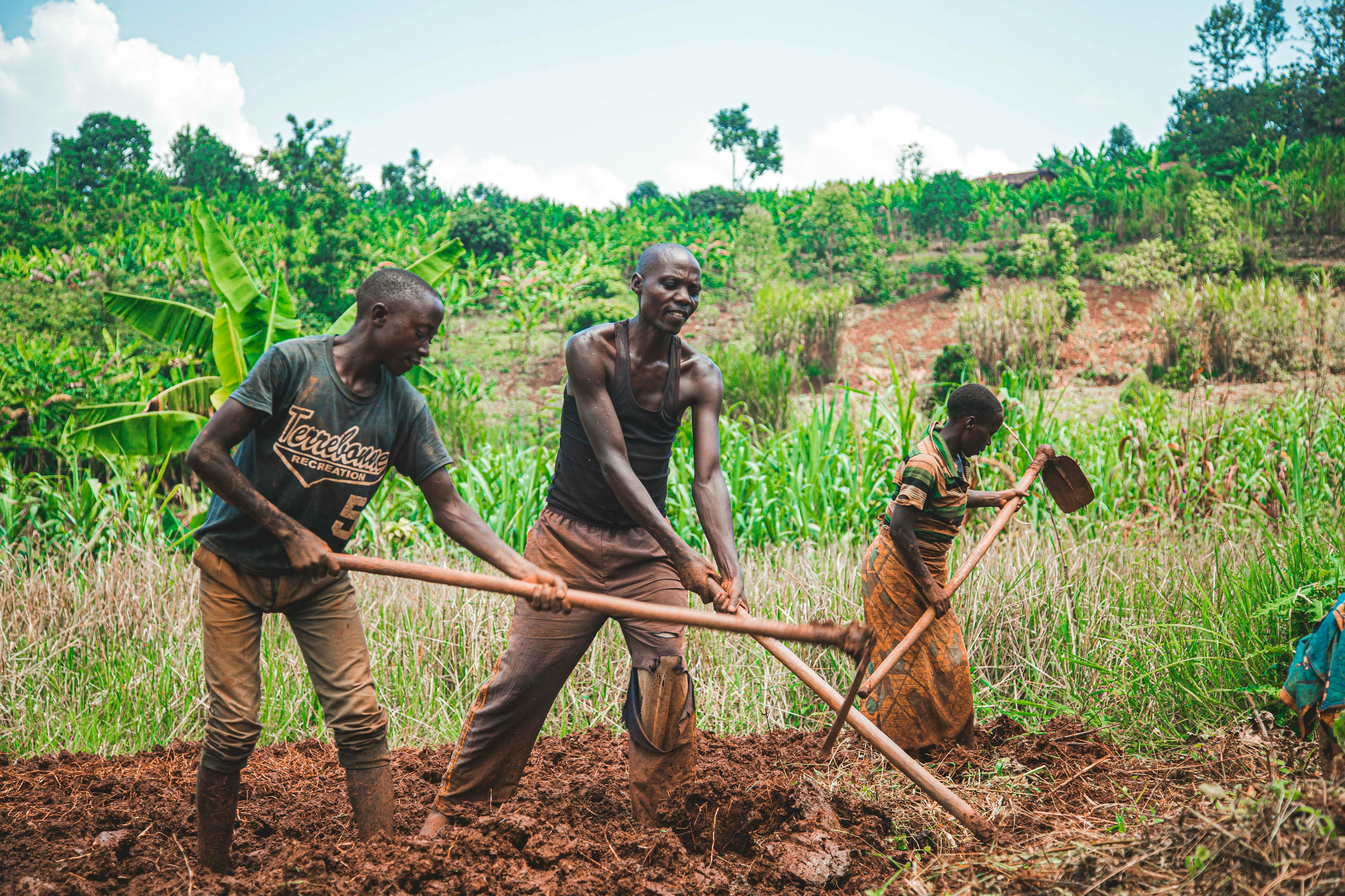 Economic Empowerment